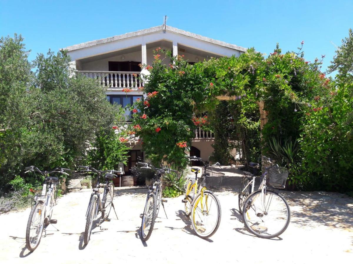 Apartments Marinka Biograd na Moru Kültér fotó