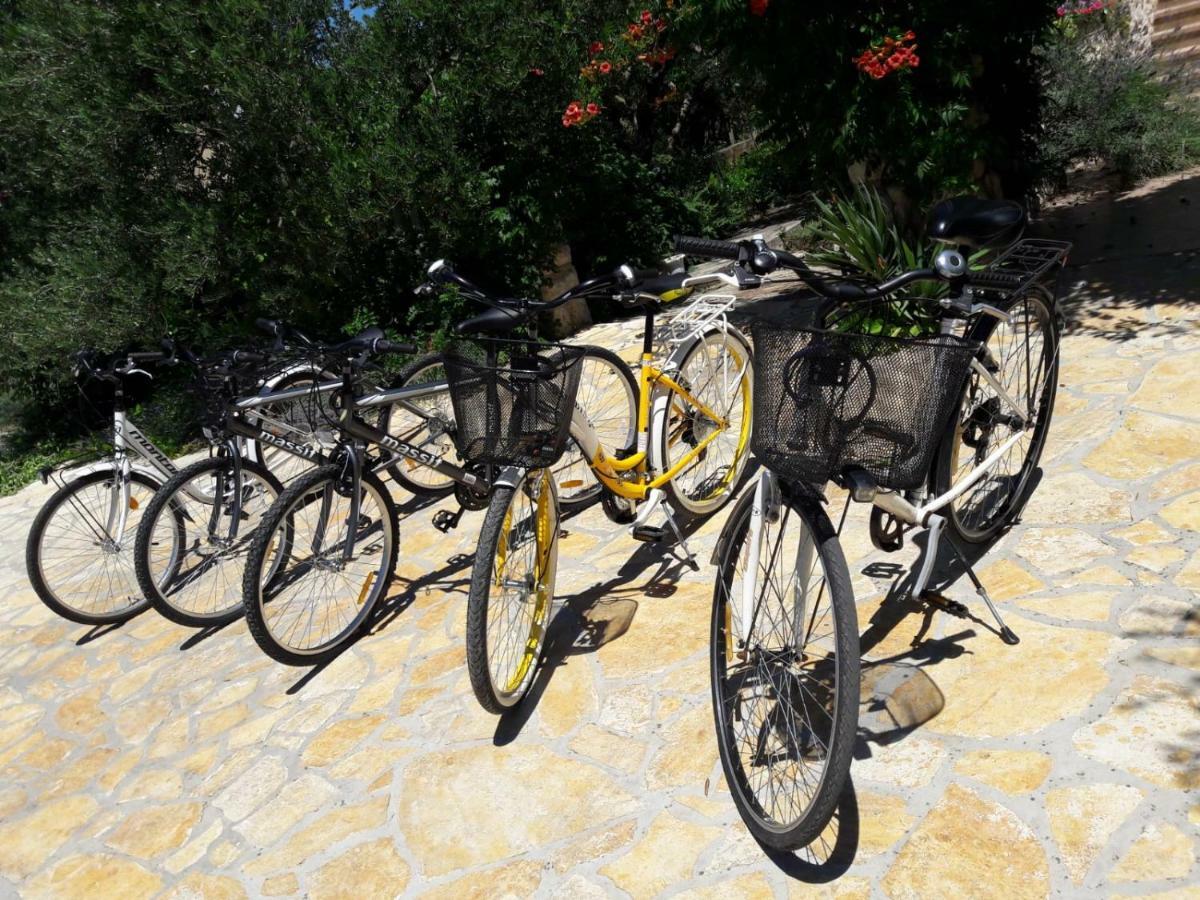 Apartments Marinka Biograd na Moru Kültér fotó