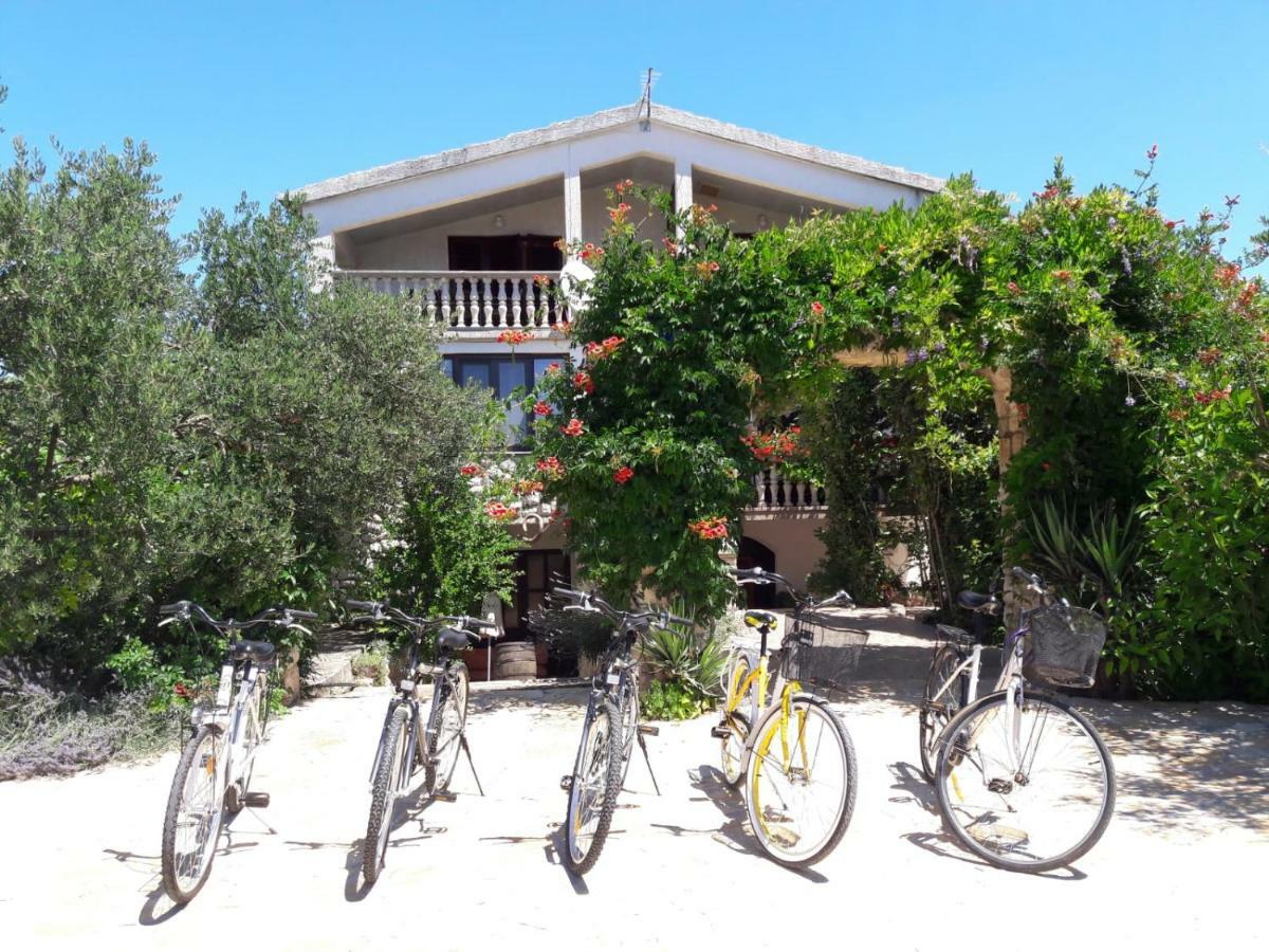 Apartments Marinka Biograd na Moru Kültér fotó